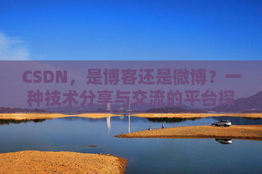 CSDN,是博客还是微博?一种技术分享与交流的平台探讨